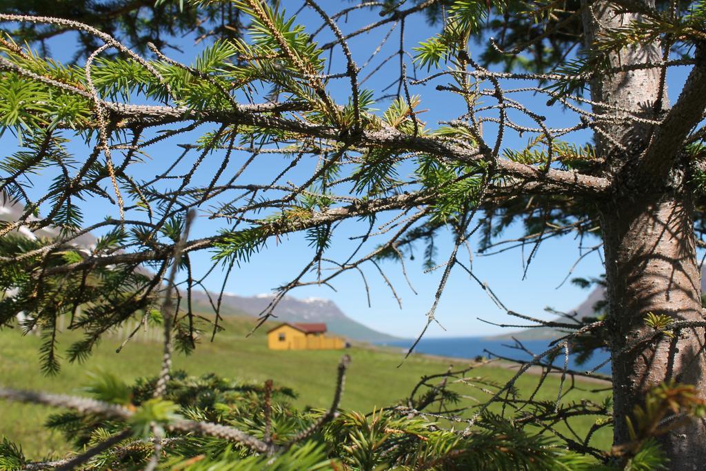 Langahlid Cottages & Hot Tubs Seyðisfjörður Exteriér fotografie